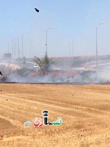 جلجولية : اندلاع حريق بين كفربرا وجلجولية وطواقم الأطفاء تهرع للمكان 